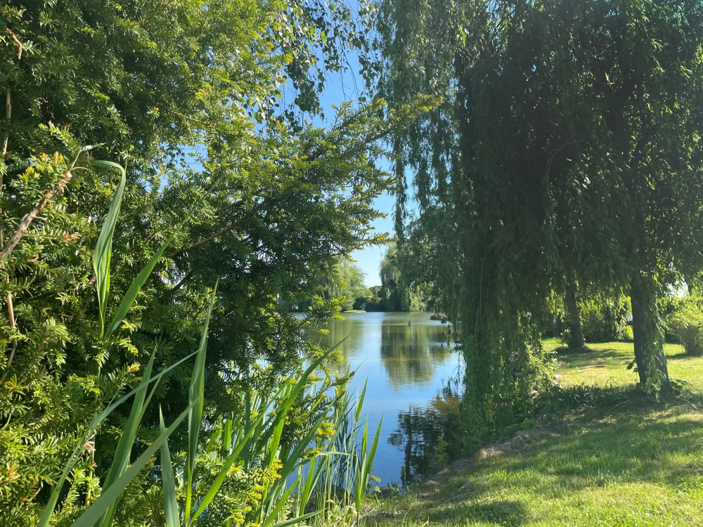 Grundstück